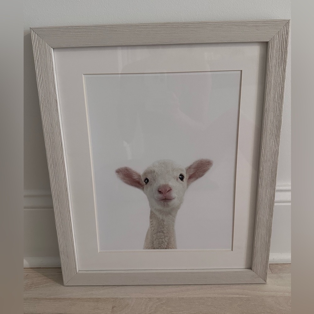 Restoration Hardware Baby Lamb CloseUp Portrait